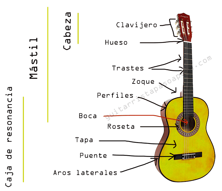partes guitarra española partes guitarra clasica